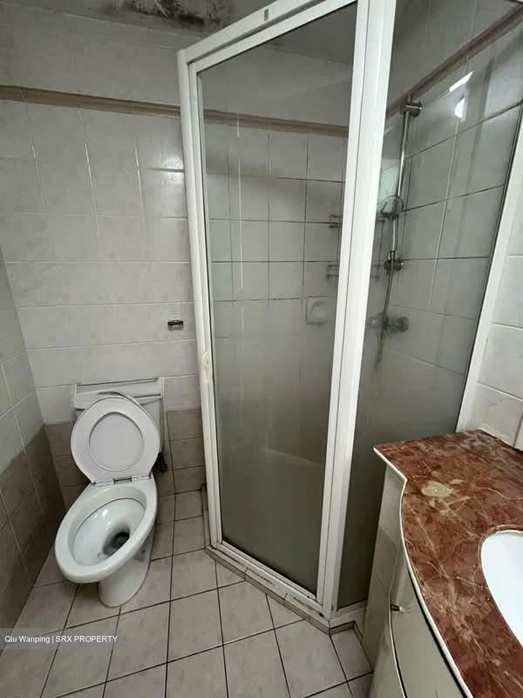 Summerdale (D22), Condominium #575652621